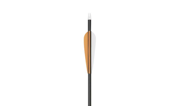 Carbon Arrow